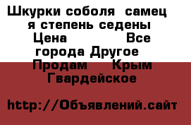 Шкурки соболя (самец) 1-я степень седены › Цена ­ 12 000 - Все города Другое » Продам   . Крым,Гвардейское